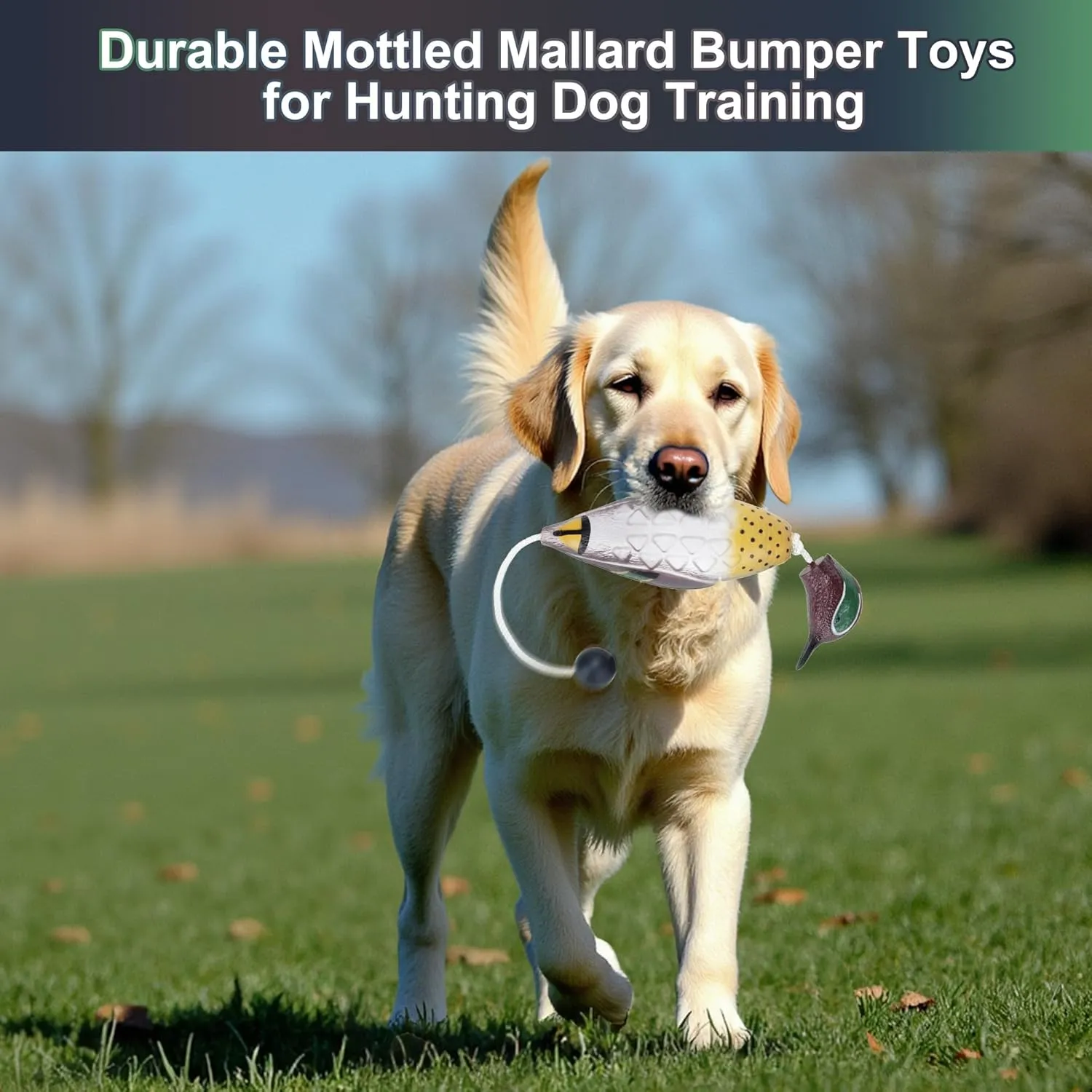 2 Pcs Mottled Mallard Mandarin Duck Dummy Bumper Toys for Hunting Retriever Dog Training, Dog Retriever Outdoor Training ToyHunting Recognition Trainers, Foam Pet Dog Interactive Toys
