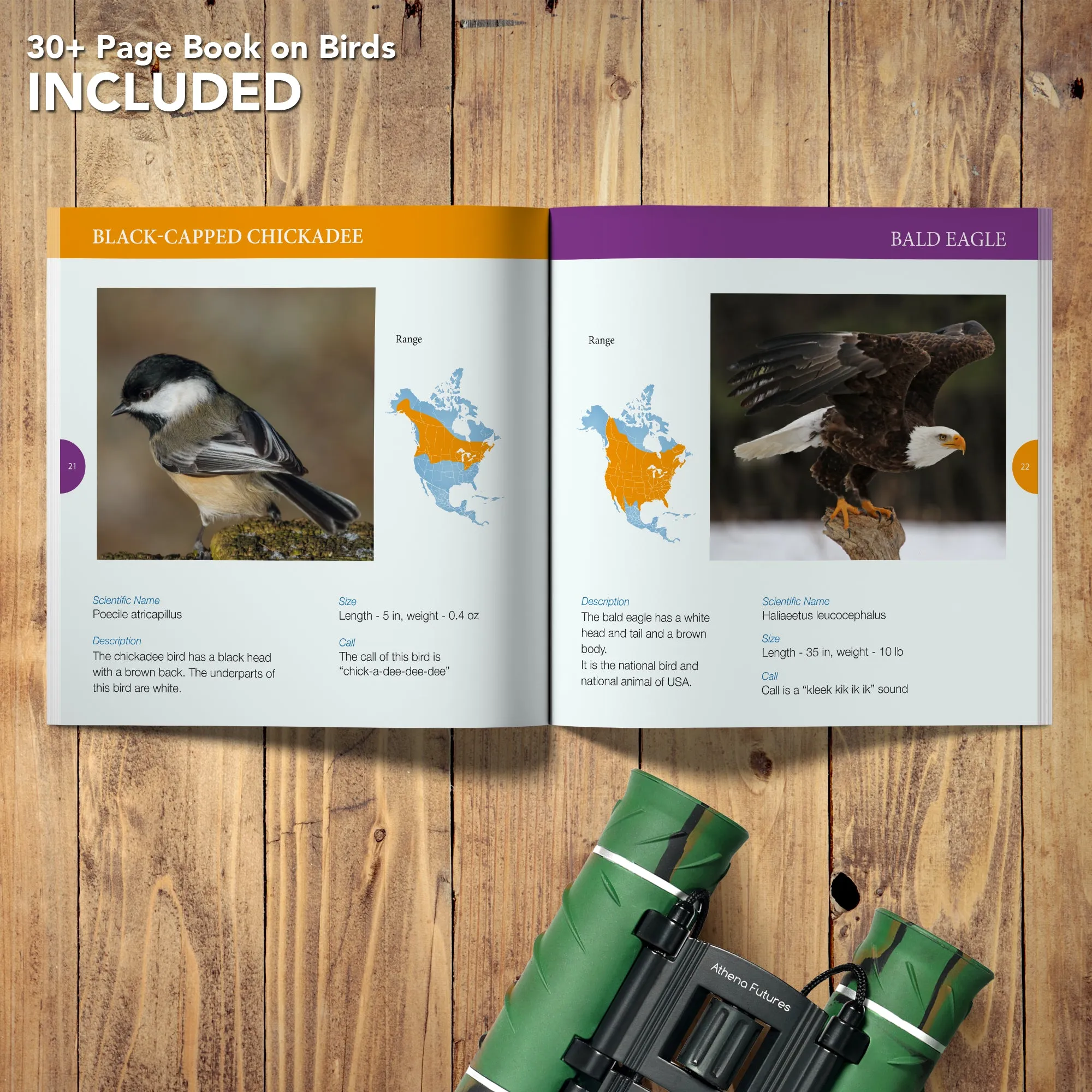 Binoculars For Kids 8X21 Compact Camouflage With High Grade Optics
