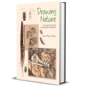 Drawing Nature: The Creative Process of an Artist, Illustrator, and Naturalist
