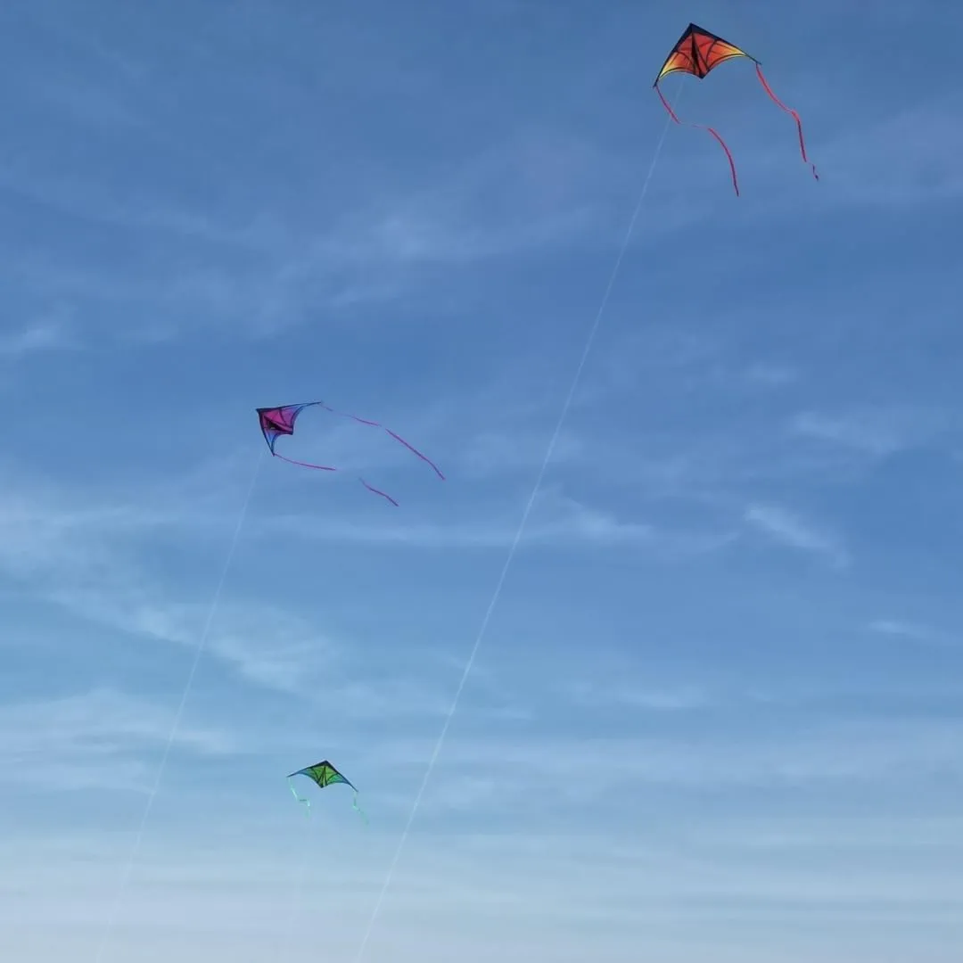 Large Delta Kite for Kids & Adults - Easy to Fly Outdoor Kites for Kids Ages 8-10, Perfect for Beach & Family Activities, Includes Line & Handle