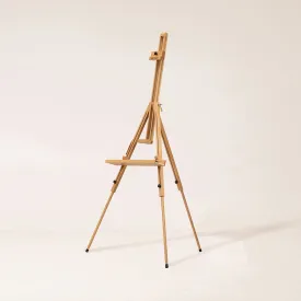MEEDEN Tripod Plein Air Painting Easel with Carrying Case-W07E