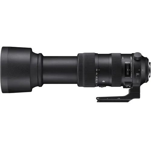 Sigma 60-600mm f/4.5-6.3 Intelligent OS Image Stabilization DG OS HSM Sports Lens for Canon EF